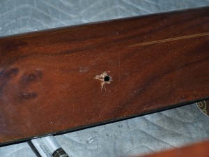 Wood Dash Wood Dash
